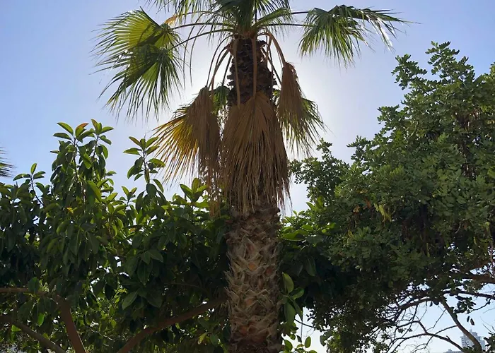 Spacious Seaside Sanctuary In The Heart Of With An Outdoor Terrace, In The Perfect Location 公寓