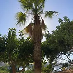 Spacious Seaside Sanctuary In The Heart Of With An Outdoor Terrace, In The Perfect Location דירה