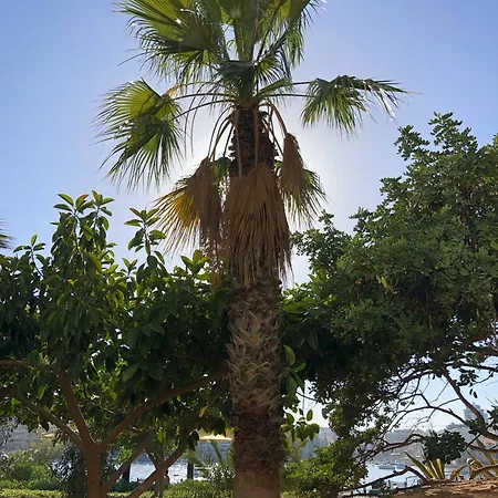 Spacious Seaside Sanctuary In The Heart Of With An Outdoor Terrace, In The Perfect Location Apartment